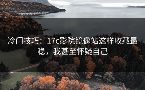 冷门技巧：17c影院镜像站这样收藏最稳，我甚至怀疑自己