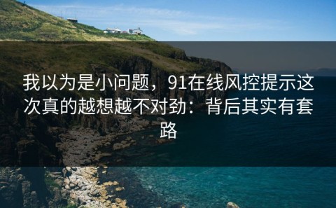 我以为是小问题，91在线风控提示这次真的越想越不对劲：背后其实有套路