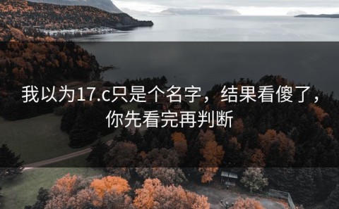 我以为17.c只是个名字，结果看傻了，你先看完再判断