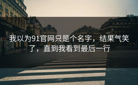 我以为91官网只是个名字，结果气笑了，直到我看到最后一行