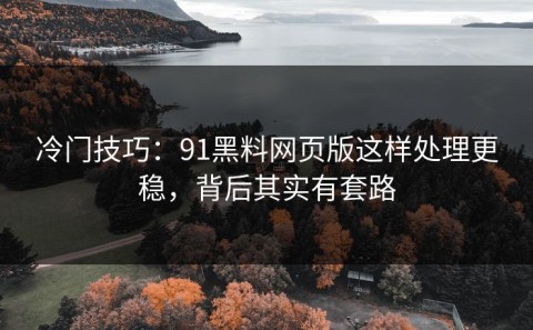 冷门技巧：91黑料网页版这样处理更稳，背后其实有套路