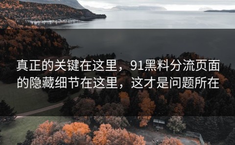 真正的关键在这里，91黑料分流页面的隐藏细节在这里，这才是问题所在