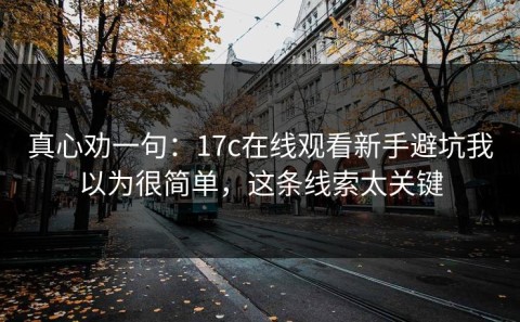 真心劝一句：17c在线观看新手避坑我以为很简单，这条线索太关键