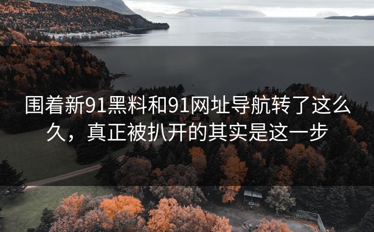 围着新91黑料和91网址导航转了这么久,真正被扒开的其实是这一步 围着新91黑料和91网址导航转了这么久,真正被扒开的其实是这一步